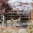 희둘영목장 이미지