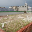 은빛초등학교 이미지