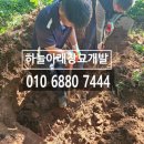 익산장묘개발