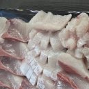 수산의원 | 광양횟집 선장과아들수산 신선한 해산물과 푸짐한 회...광양에서 꼭 가봐야 할 만족도 높은 횟집 방문 후기