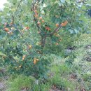 배우물농장 이미지