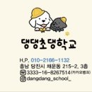 학교종이 댕댕댕 이미지