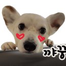 지주 헤어 살롱 이미지