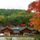 10 | 안동 가볼만한곳 베스트10 후기