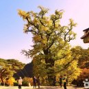 남한강자전거길 19 이미지