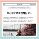 작은나무치과의원 네이버블로그