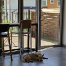 [공지] 📚 그림책 카페-감꽃별 방문