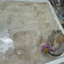 일등수산 | 몽산포 백사장항 대한횟집 방어회 / 일등수산 광어회 후기