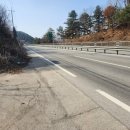 홍천염소농장 이미지