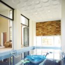 391 스테이 이미지