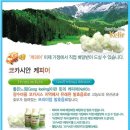 안코비어 이미지