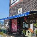 바우바우 | 여행투어 2️⃣ / 감성카페] 고즈넉한 분위기 '오차커피공방' 핸드드립 솔직후기 &amp; 순둥이 강아지 바우바우 ☕🐾