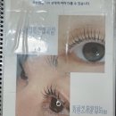 오조뷰티