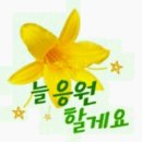 해군717기 - [자대 3직제 당직~!] 이미지