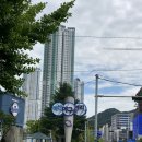 2022. 8월 둘째 주 일상: 어거스트하모니 팔찌 / 디스커버리 익스페디션 버킷 슬라이드 / 다니고 에어...