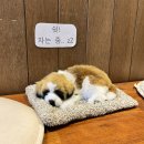 더리터근영점