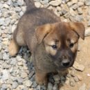 요한이네농장 이미지