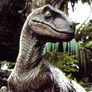 벨로시랩터 이미지