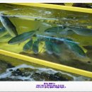 상아 수산 이미지