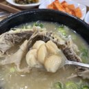 홍성코리아식당 티스토리