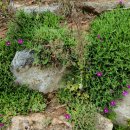 김천화장장 이미지