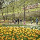 용비쉼터 이미지