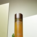 원헤어(WON HAIR) 얼루어코리아
