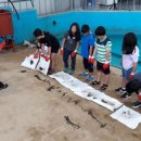 해양환경 이미지