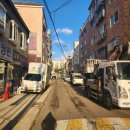 하루야 | 부천 애견 동반 카페 안녕하루야 후기 오정동 카페