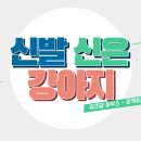 신발신은 강아지 이미지