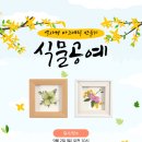 식물공예 이미지