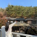 씨없는곶감마을 | 애플향-민속촌-월영교-낙강물길공원-갈비골목 우정숯불갈비-스탠포드 호텔-하회마을-예끼마을 수상다리