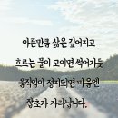 무사이 이미지