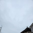 부여양송이마을 | 충남 부여 서향간 북스테이 '오롯이' 1박2일 후기 나를 위한 온전한 시간 추천