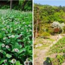 억대농장 이미지