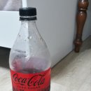 도미노피자동소문점 이미지