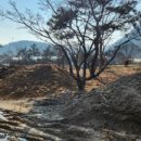 언도리농장 네이버블로그