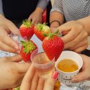 승현농장 이미지