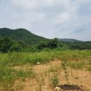 백운면 2062 이미지