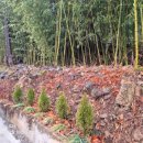 여수마루부동산공인중개사사무소 | [여수 호명 주택 매매] 깔끔하게 리모델링한 산단 접근성 좋은 단독주택 {2억 3천만 원}