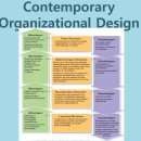 Organizational Structure and Design 이미지