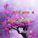꽃피는봄 이미지