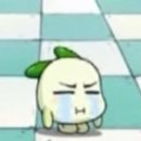 공공7빵 이미지