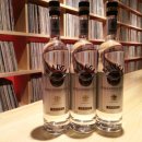 벨루가(Beluga) 이미지