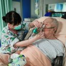 감산1교차로(감산3거리) 2 | 방사선 유발 동맥폐쇄증(Radiation-induced arteritis)이란? 특징, 원인, 증상, 진단, 치료 및 수술방법