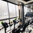 바디스트 이미지