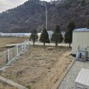 조이스타운 이미지