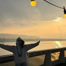 김포한강유도체육관 | 서울 한강 여의도 디너불꽃 크루즈 현대유람선 뷔페, 불꽃놀이 주의사항 및 준비물 총정리 후기