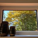 영월힐링하우스 이미지