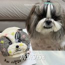 까까가개 이미지